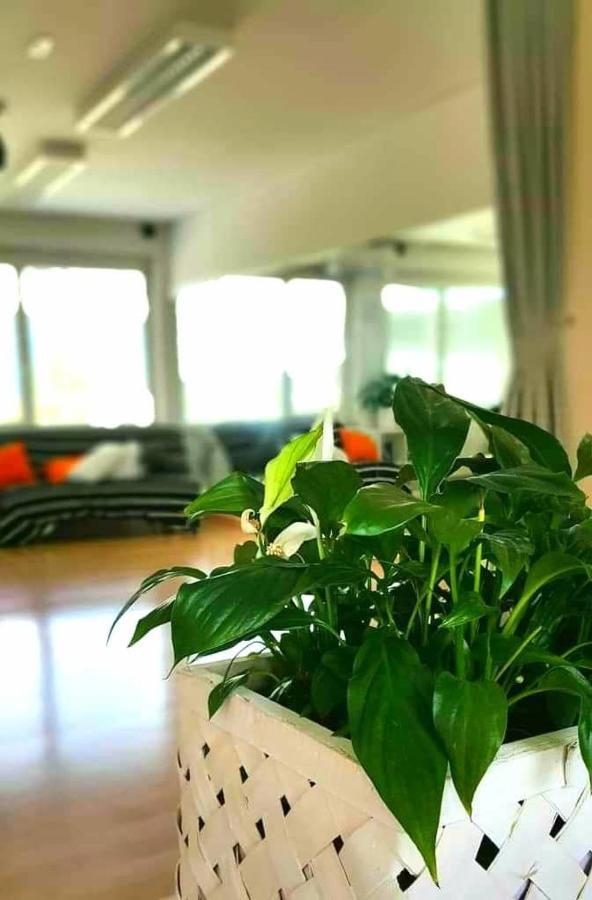 Tej Hostel Lublana Zewnętrze zdjęcie